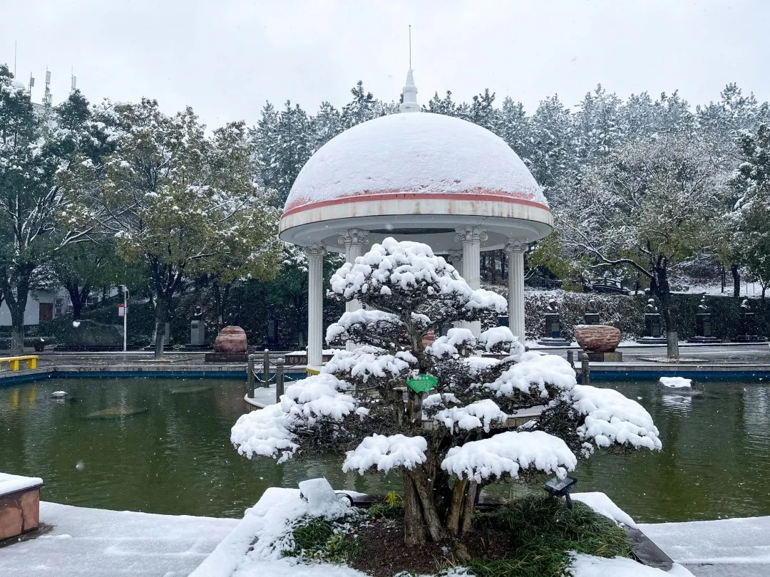 瑞雪兆丰年！武昌理工学院校园雪景！美不胜收