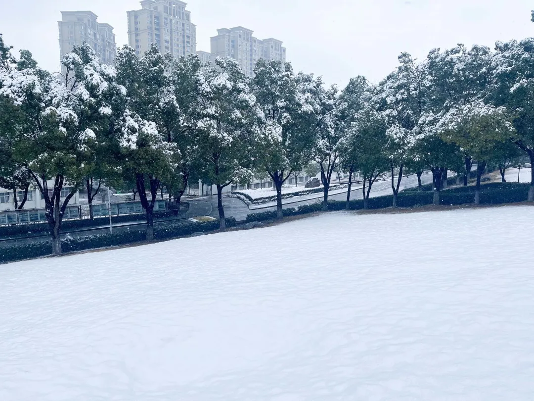 瑞雪兆丰年！武昌理工学院校园雪景！美不胜收