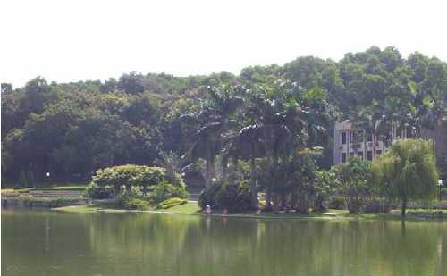 大明湖