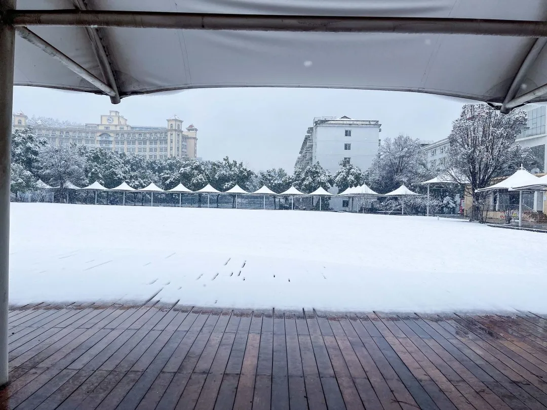 瑞雪兆丰年！武昌理工学院校园雪景！美不胜收