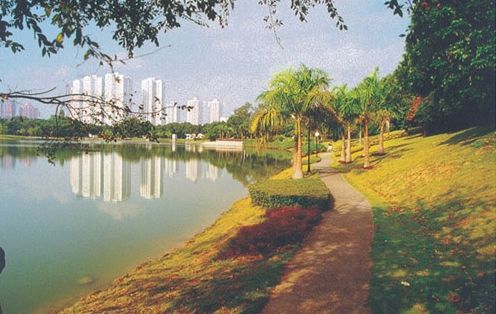 深圳大学文山湖