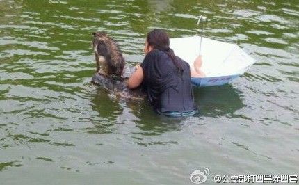 每日轻松一刻(6月3日午间)