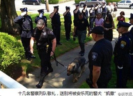 每日轻松一刻(6月3日午间)