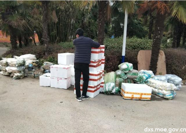 为学生做榜样 武昌理工学院一辅导员主动申请坚守防控一线